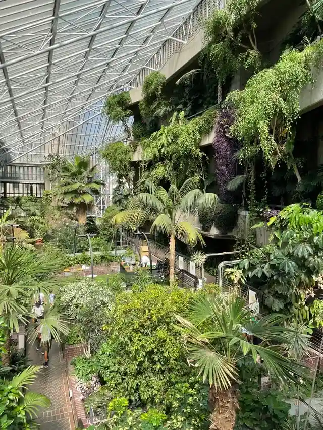 Barbican Conservatory