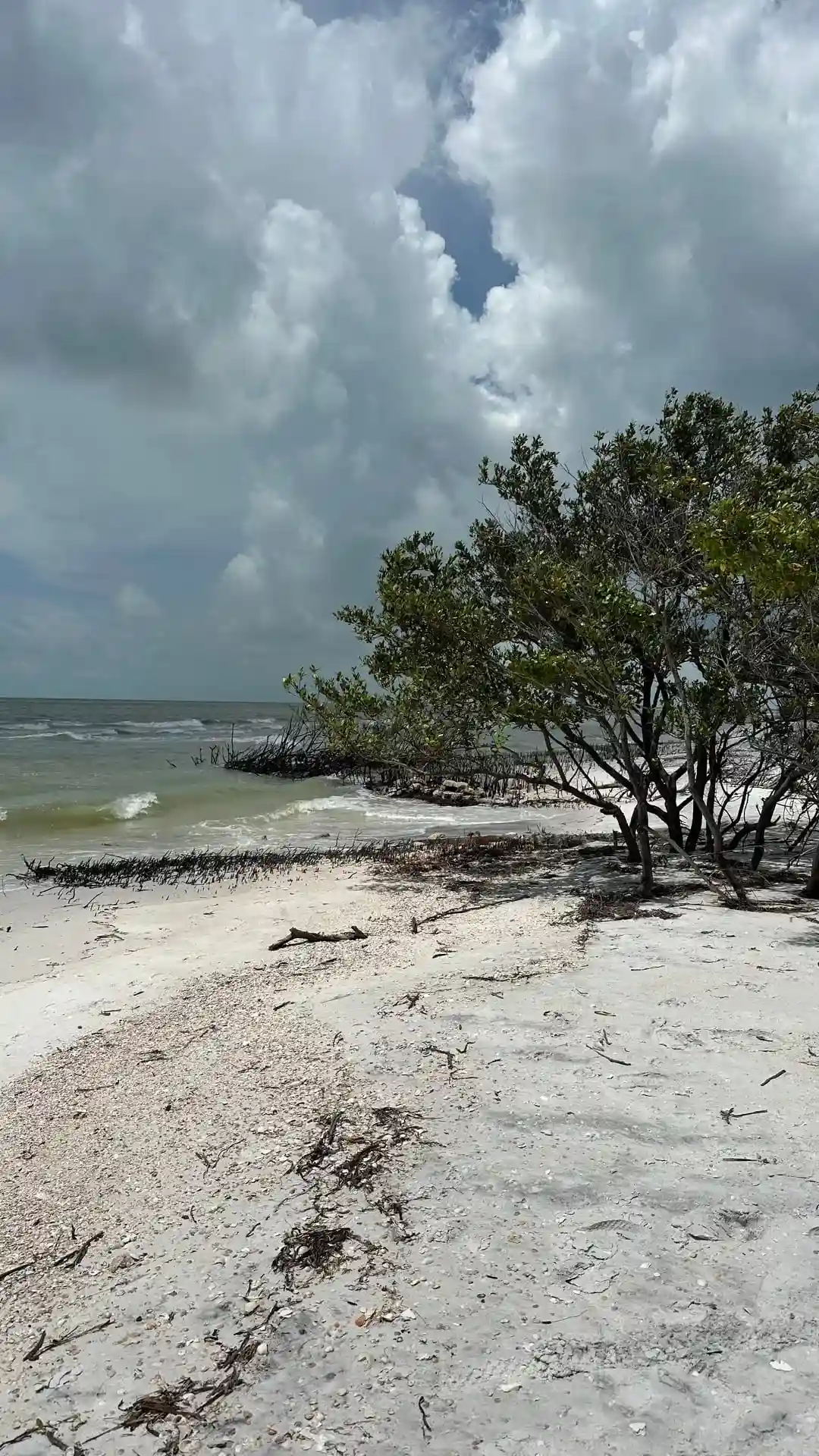 Caladesi Island State Park, Dunedin, Florida
