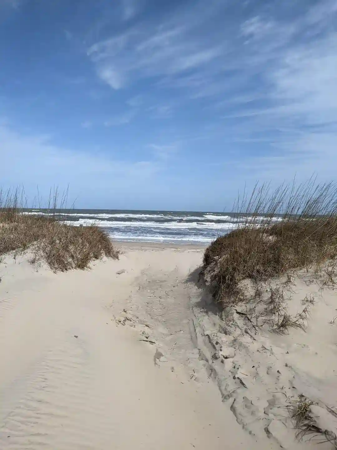 False Cape State Park, Virginia