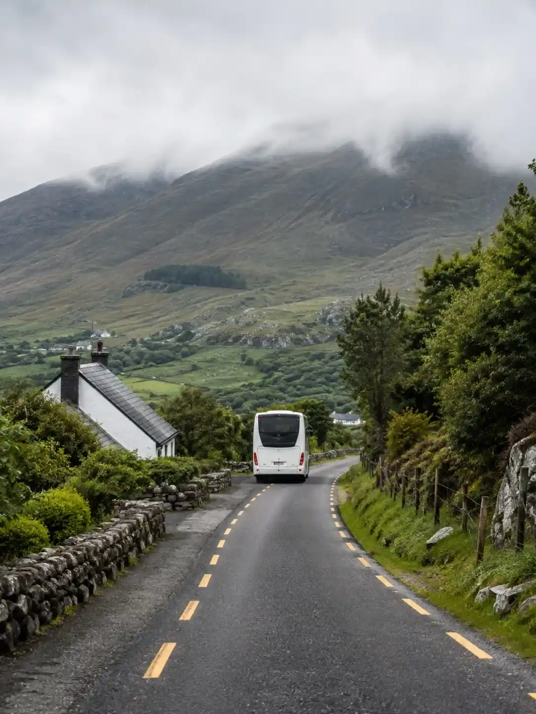 Getting Around Transportation