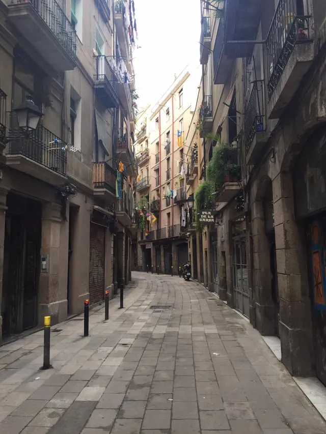 Gothic Quarter (Barri Gòtic)