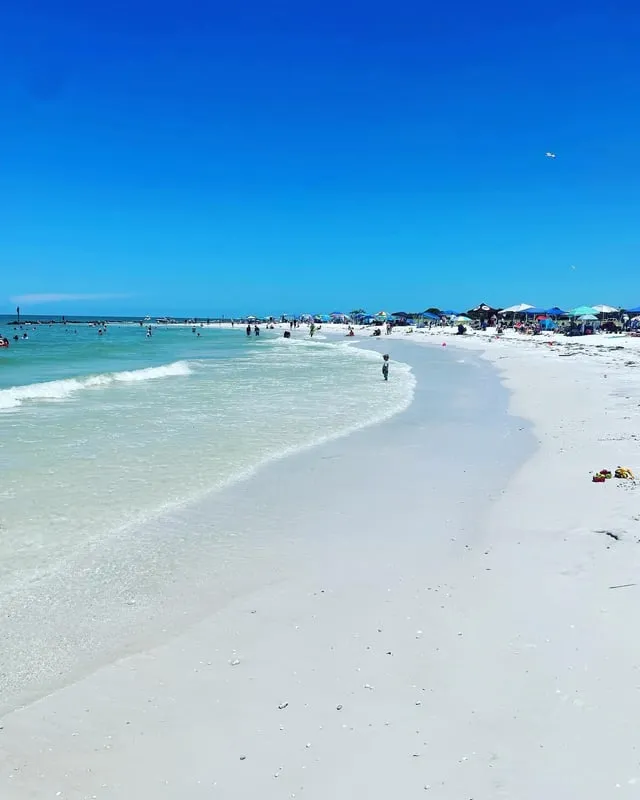Honeymoon Island State Park, Dunedin, Florida