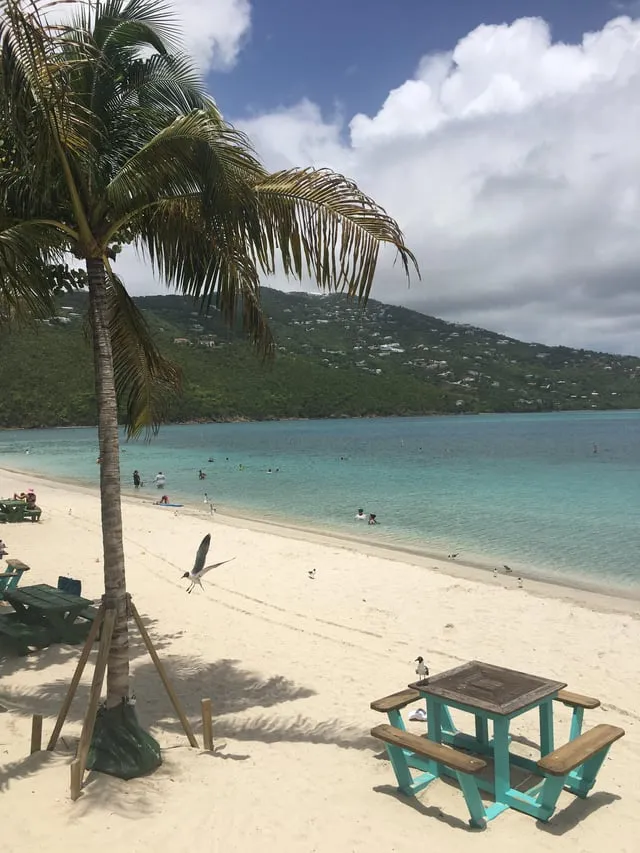 Magens Bay Beach, St Thomas, USVI