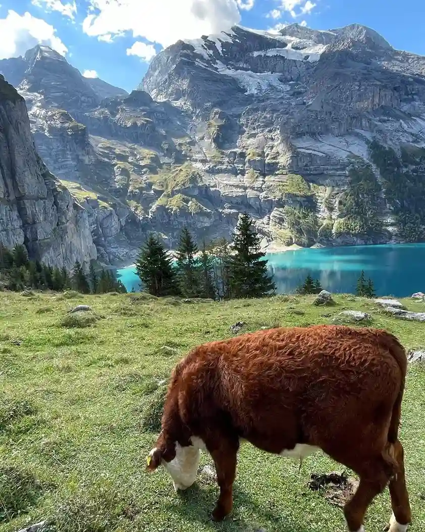 Oeschinensee