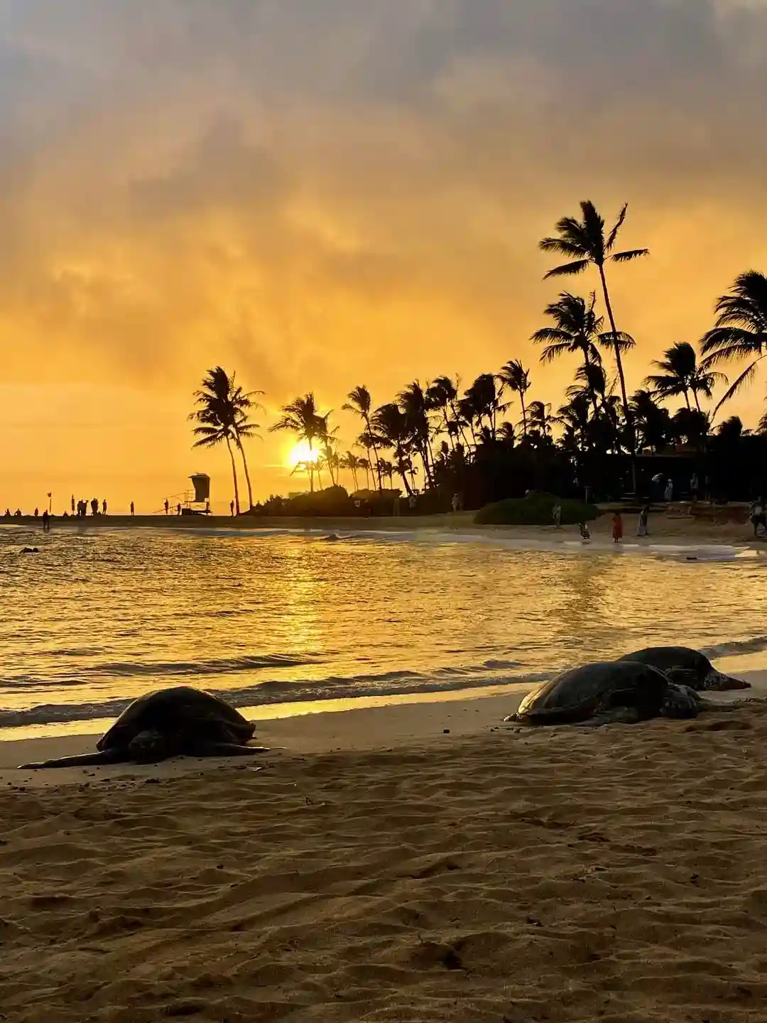 Poipu Beach Park, Kauai, Hawaii