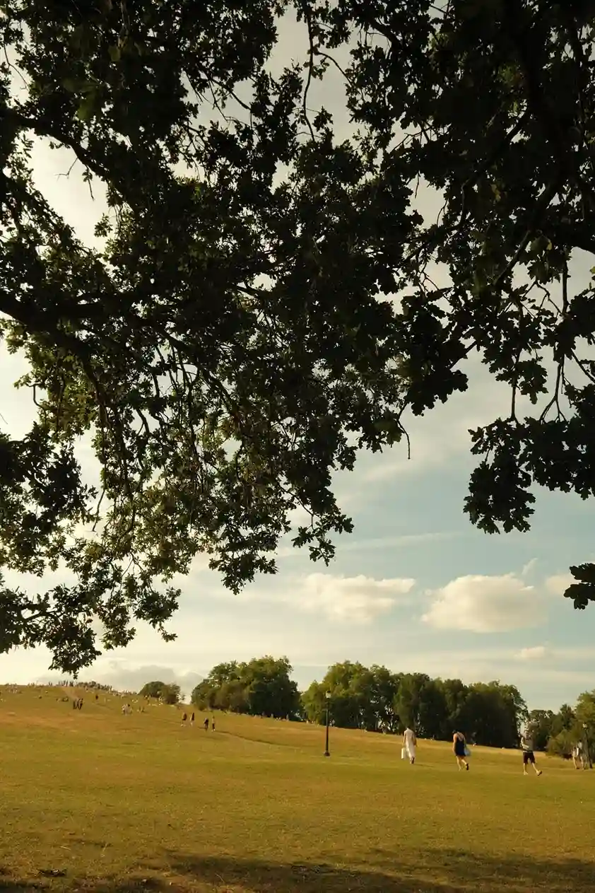 Primrose Hill