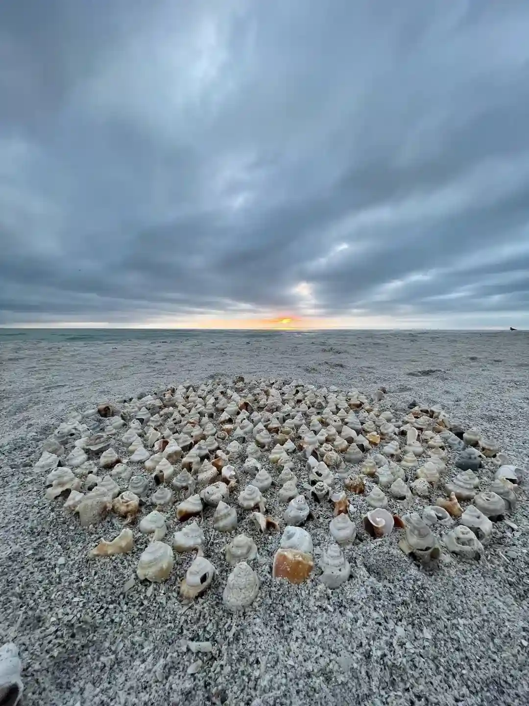 Siesta Beach  Siesta Key, Florida