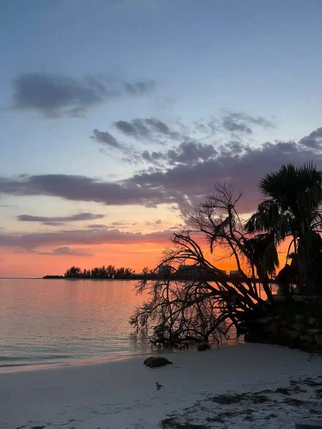 Siesta Key, Florida