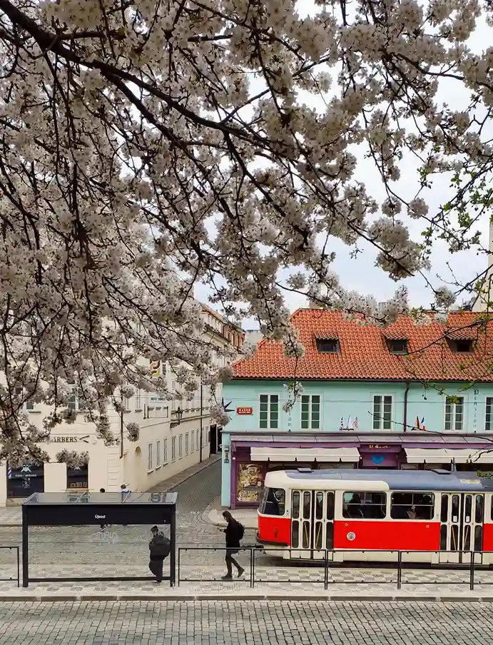 Spring in Prague (March–May)