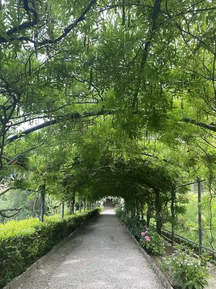 Bardini Gardens Secret Gardens