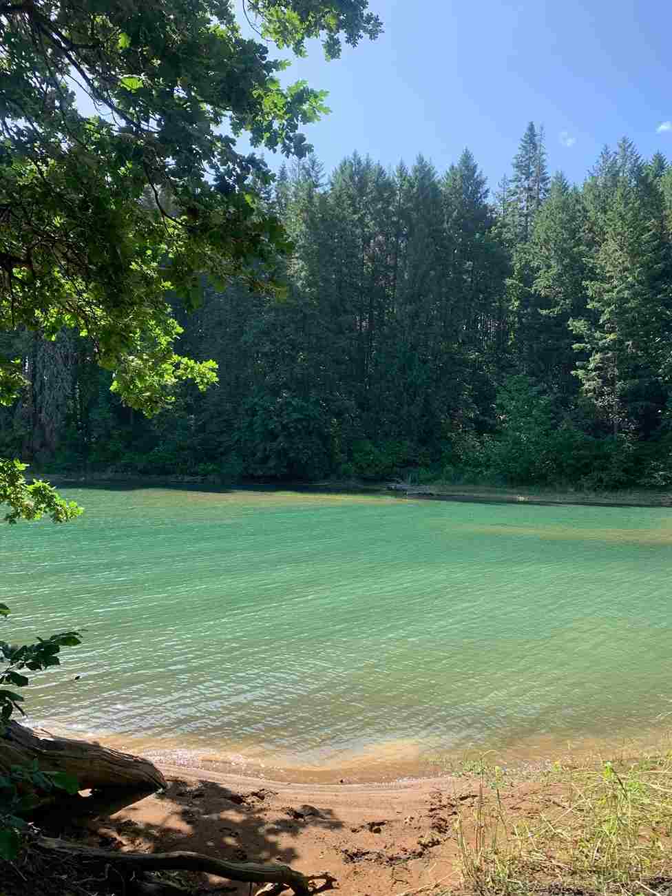 Henry Hagg Lake