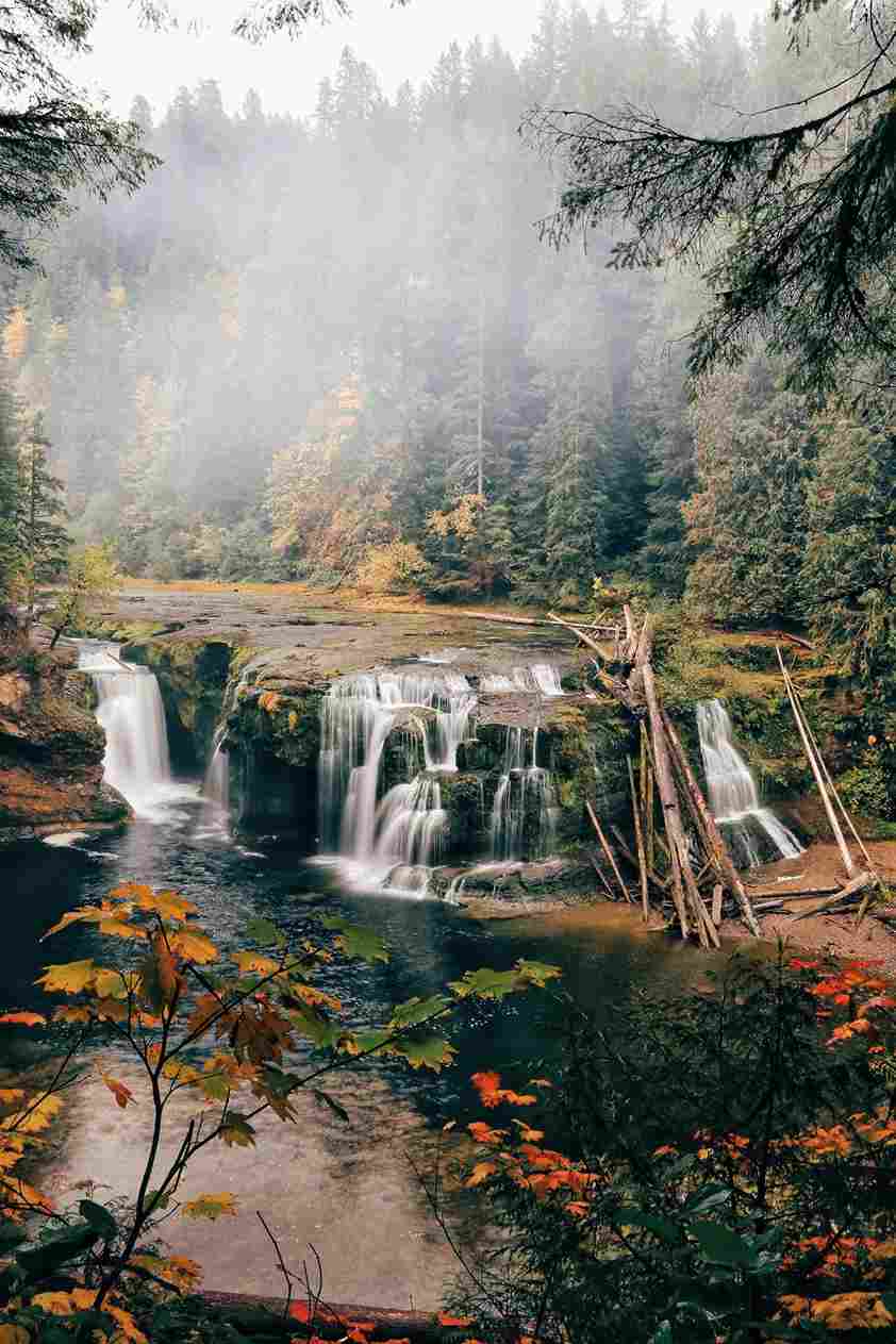 Lower Lewis River Falls