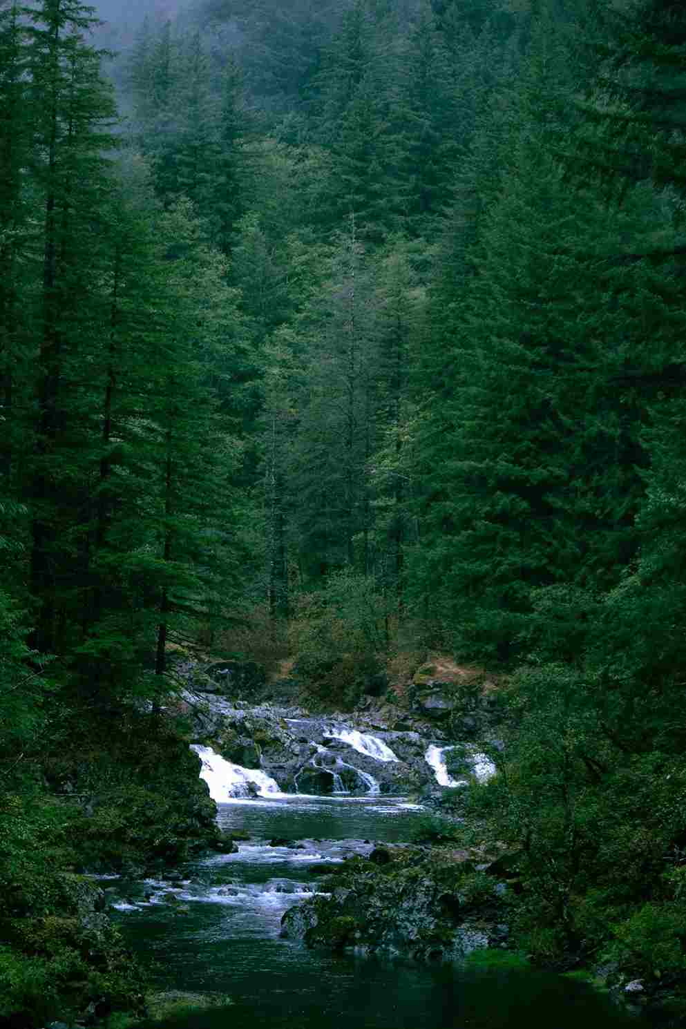 Naked Falls
