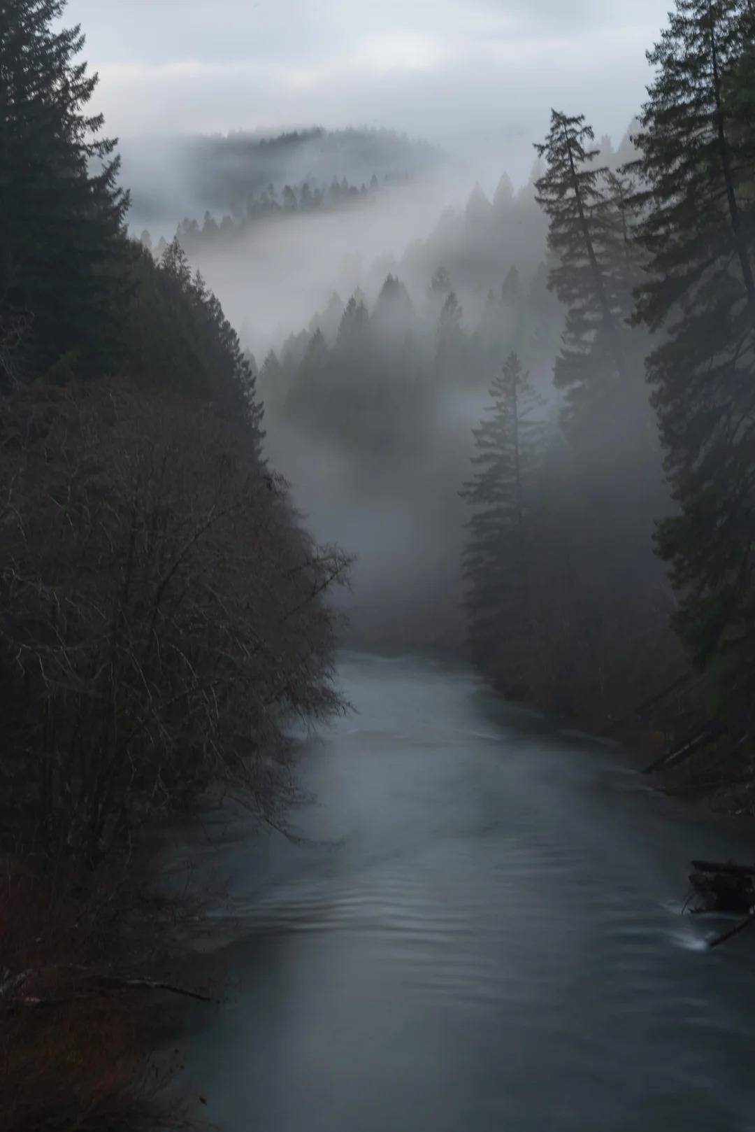 North Fork of the Willamette