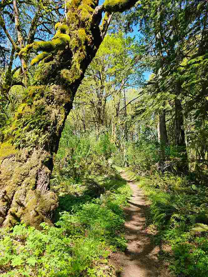 Oxbow Regional Park (Bonus)