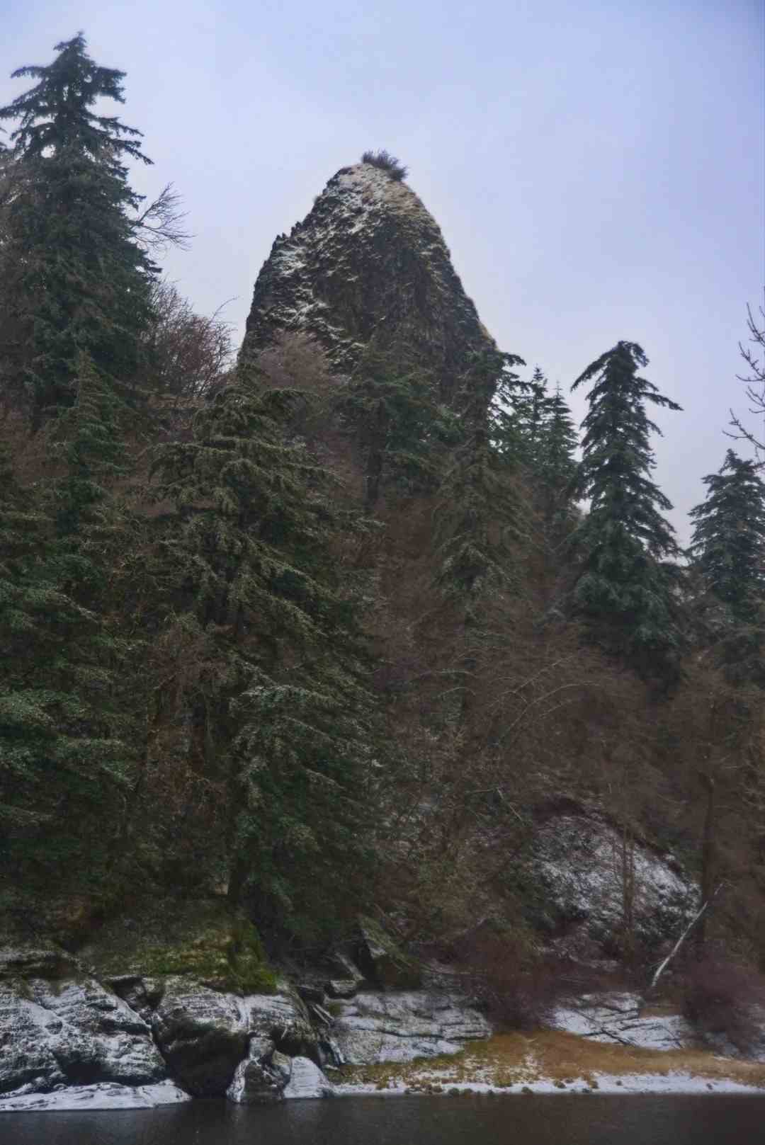Rooster Rock State Park