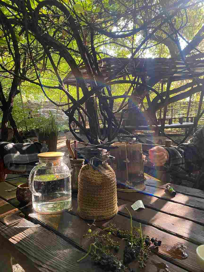 Tea Houses
