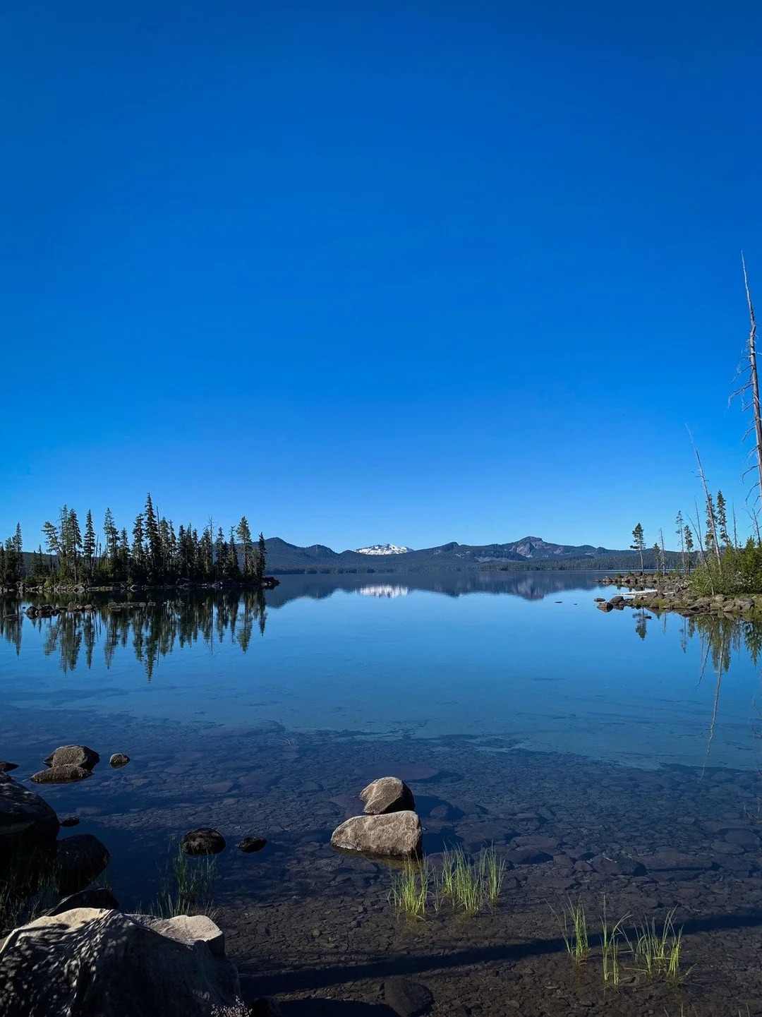 Waldo Lake