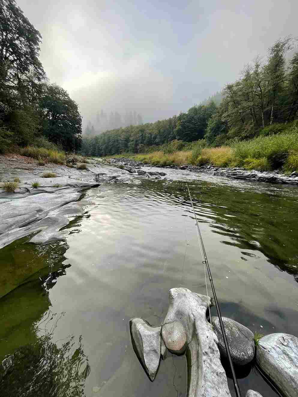 Wilson River