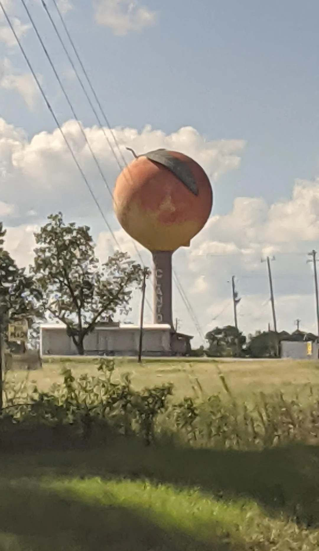Clanton Peaches