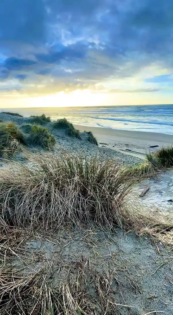 Florence & Oregon Dunes National Recreation Area