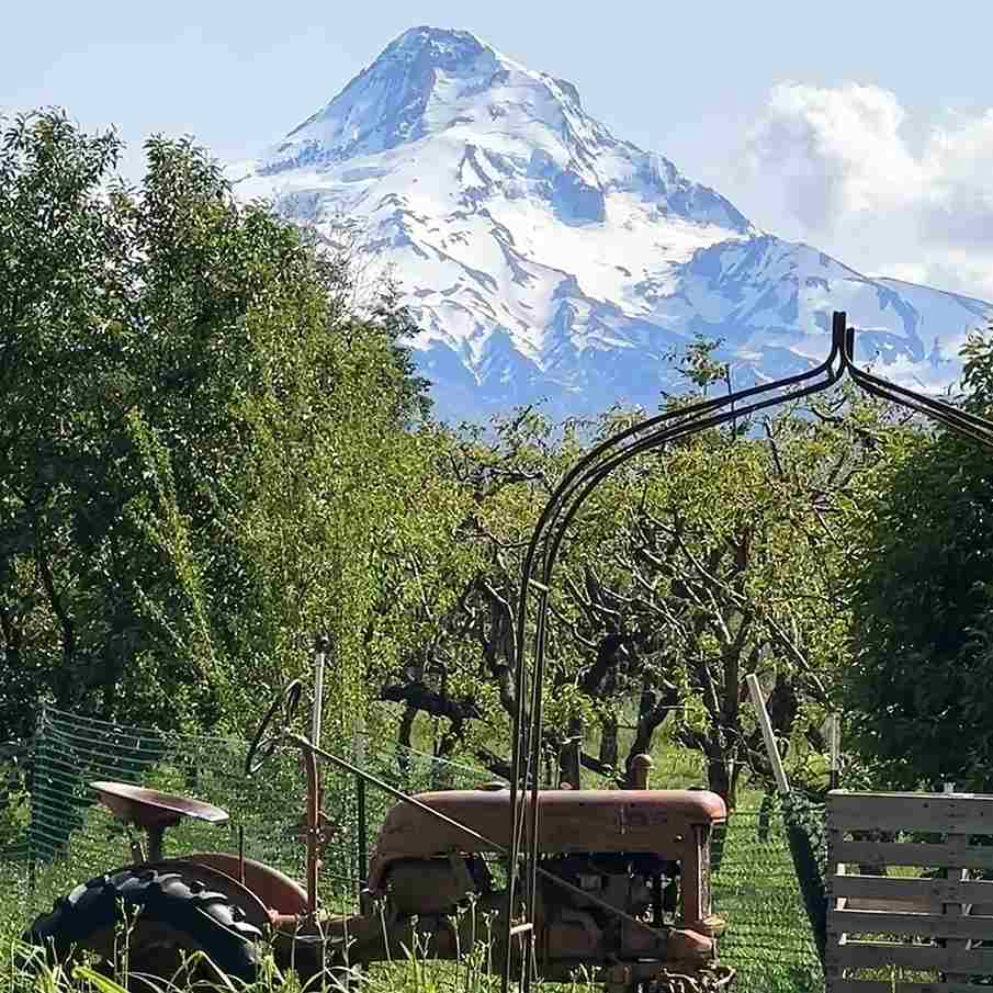 Hood River Fruit Loop