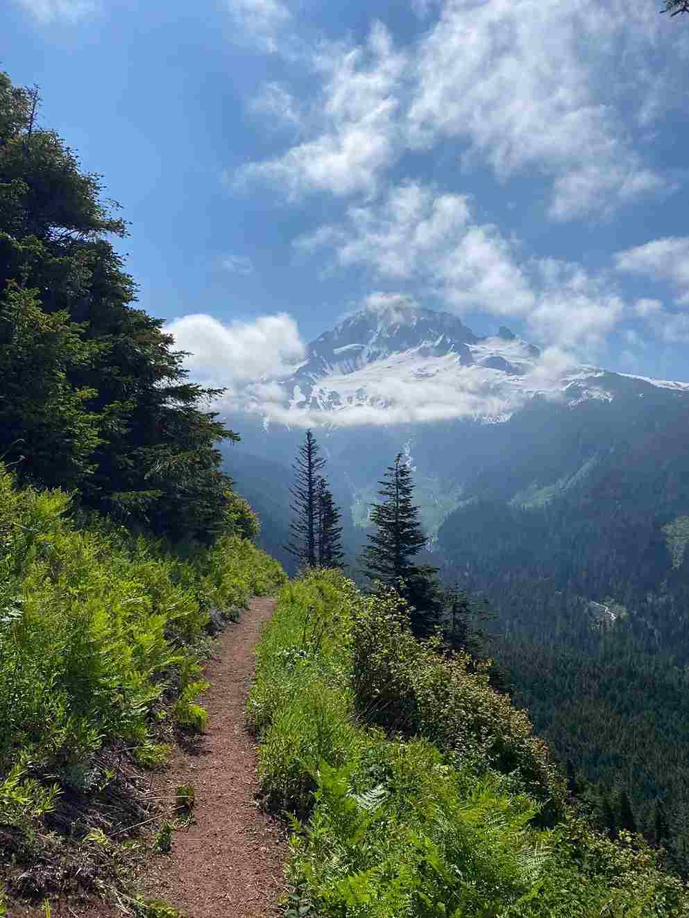 Mt Hood