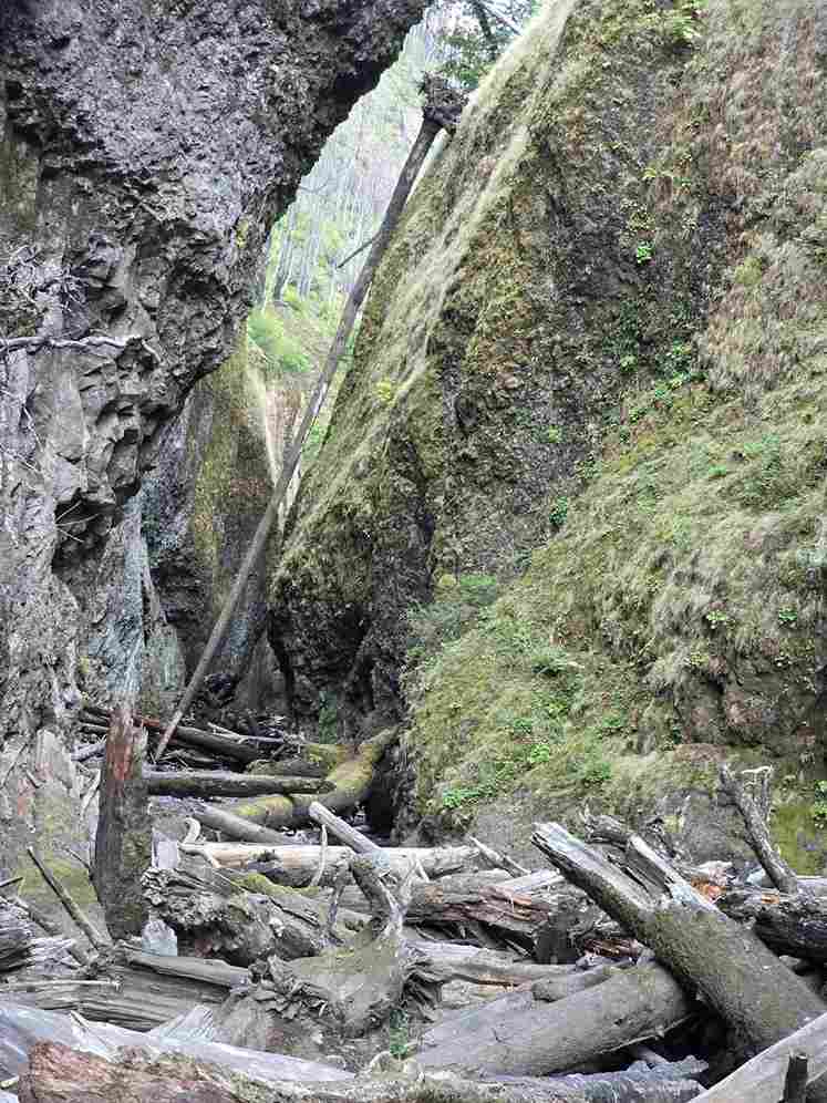 Oneonta Gorge