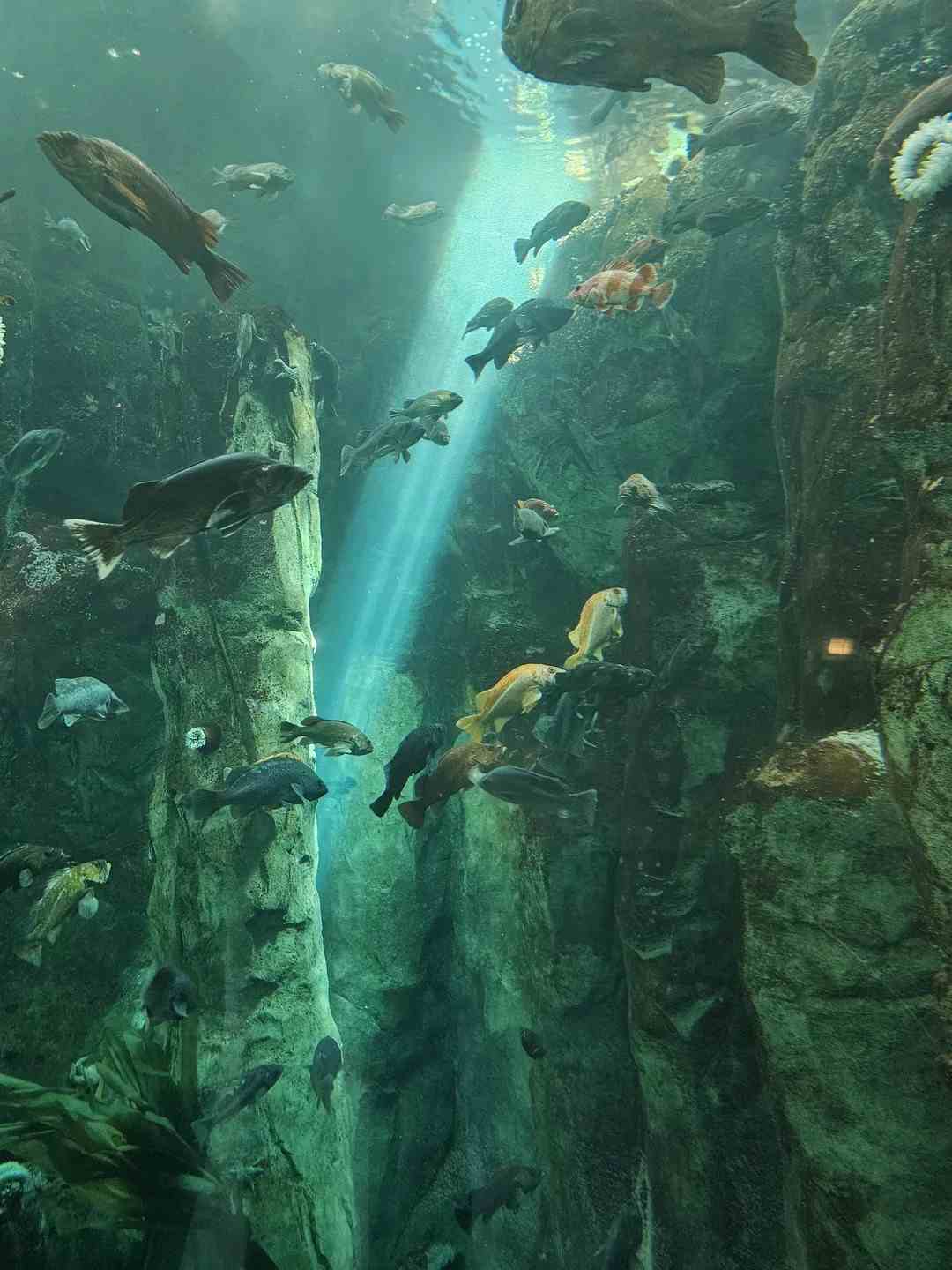 Oregon Coast Aquarium