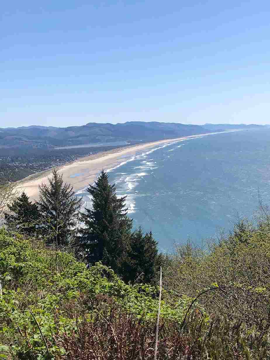 Oswald West State Park