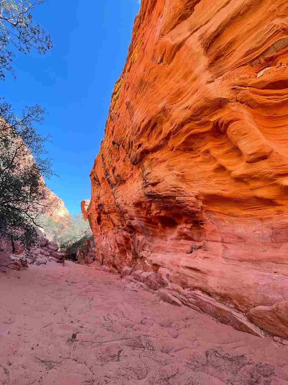 Red Rock State Park