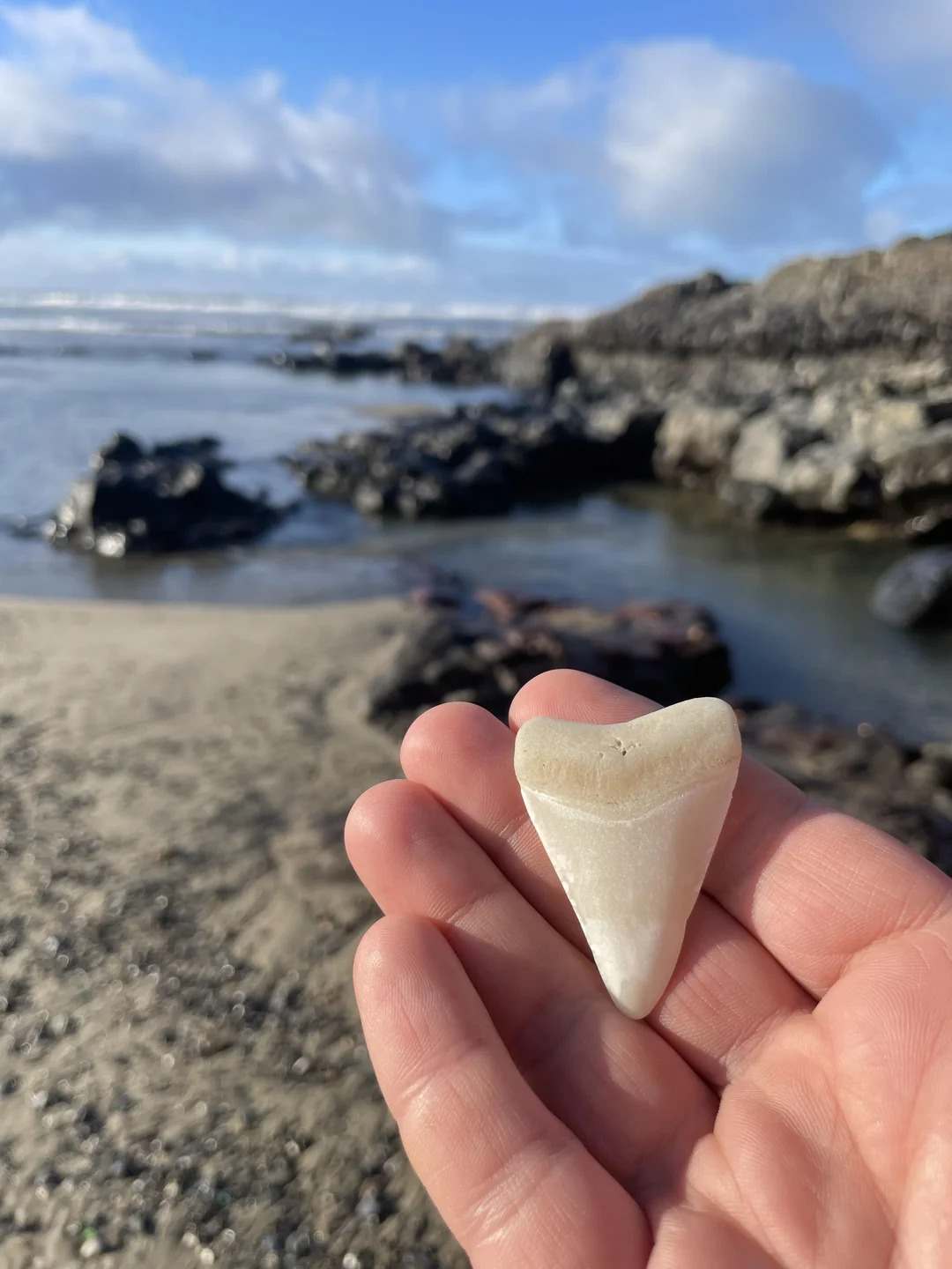 Sharkfin Rock at Gold Beach