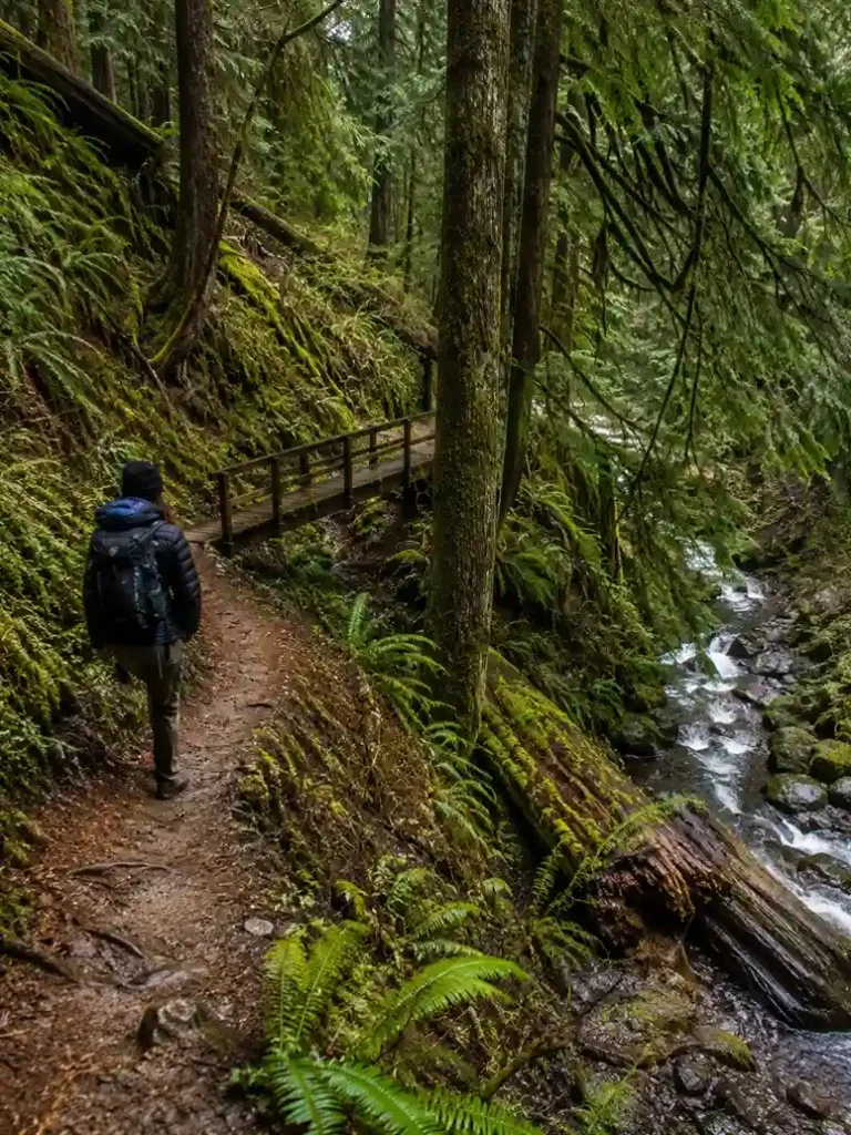 Trail Terrain  What the Hike Is Like