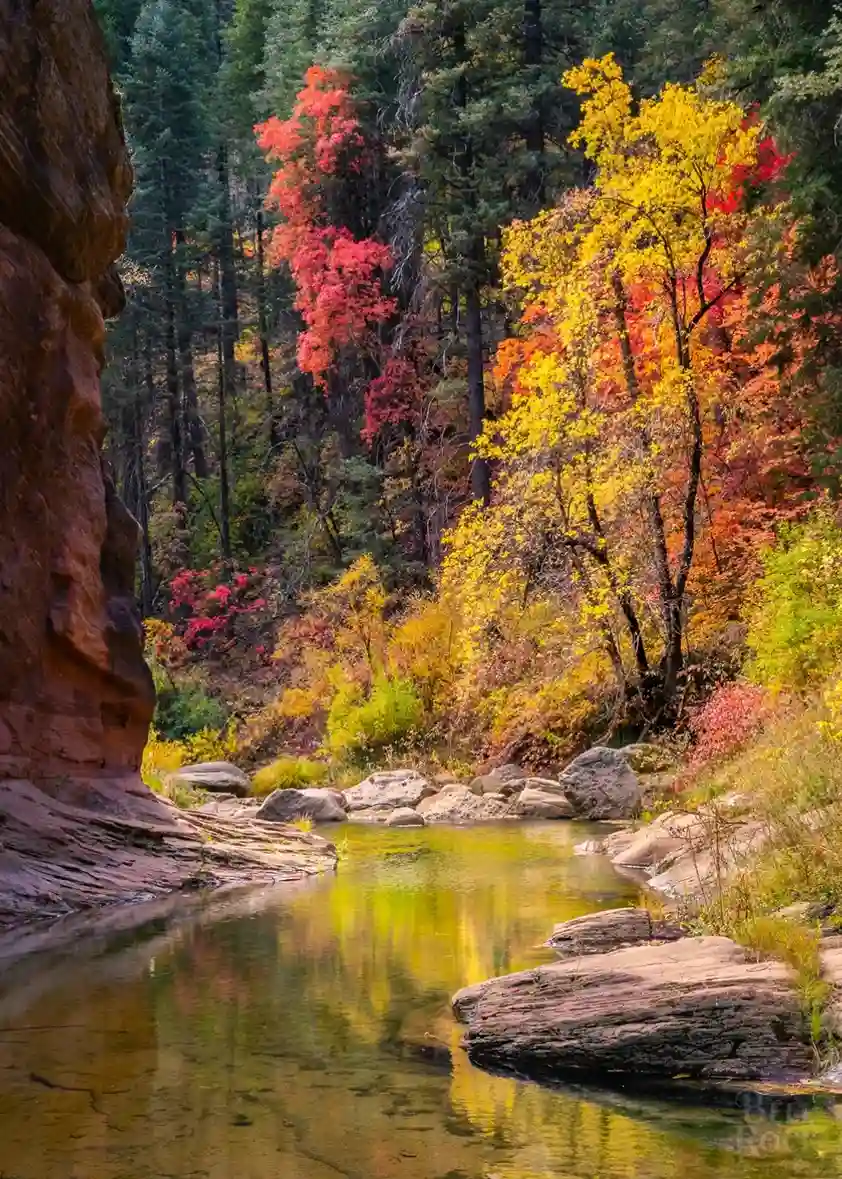West Fork of Oak Creek Canyon hike