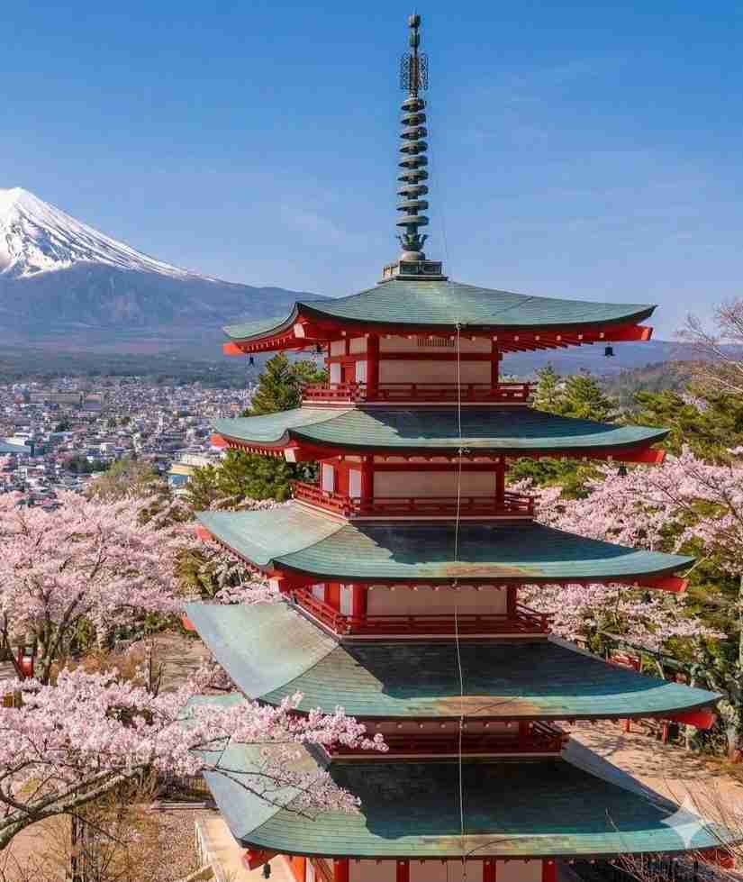 Mt. Fuji Day Trip Tours