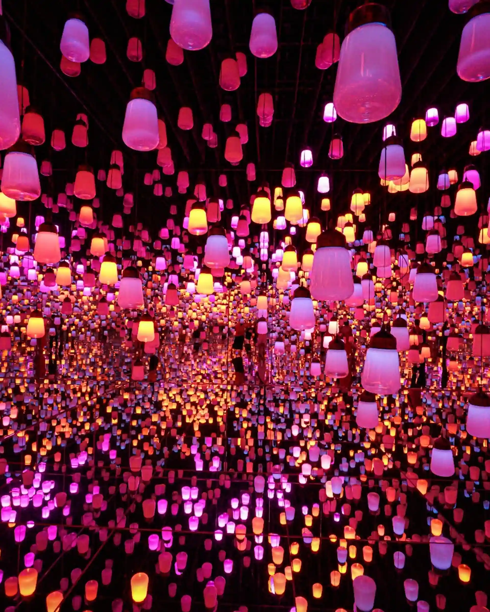 Mori Digital Art Museum: Teamlab Borderless