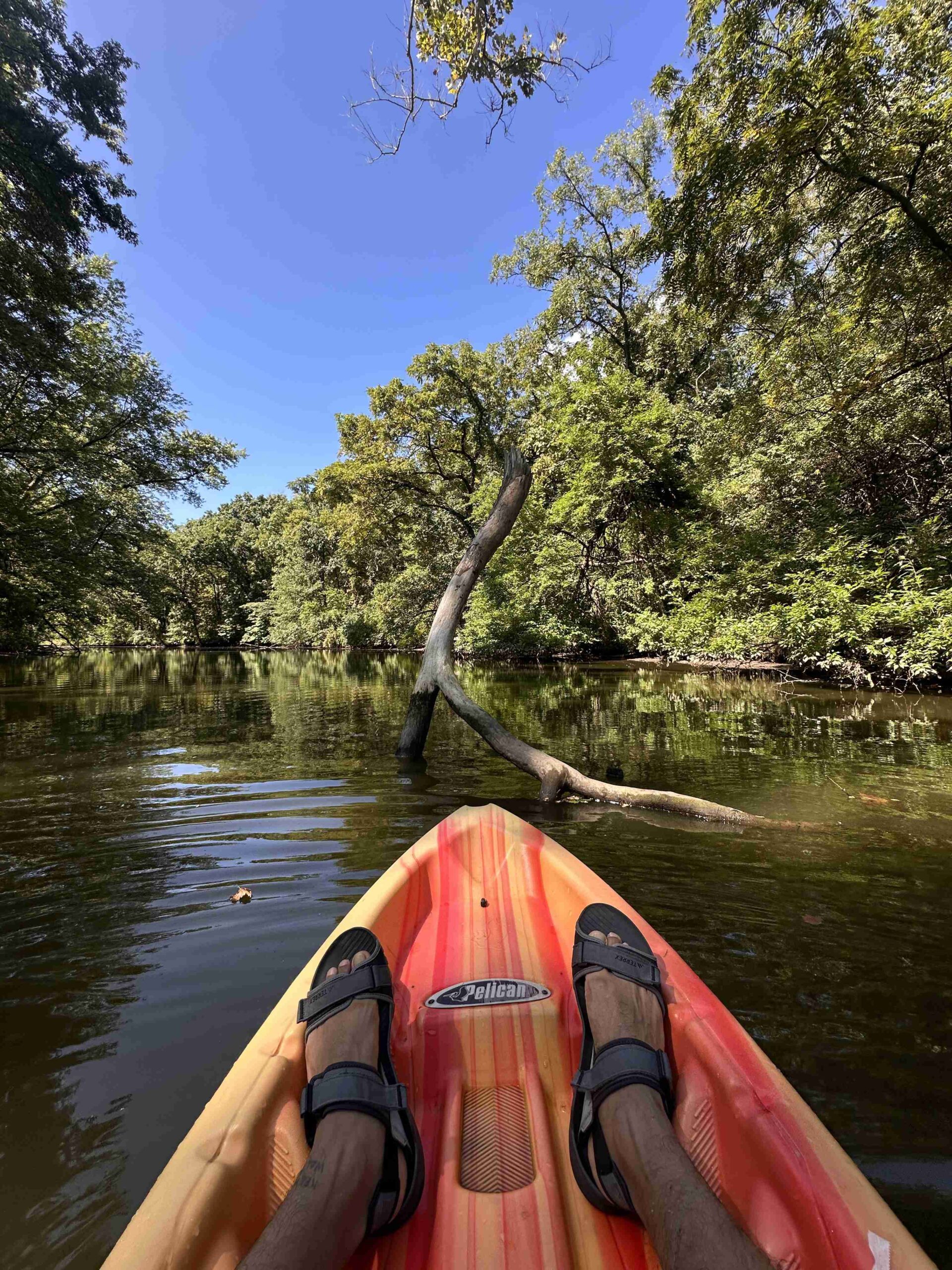 Kayaking & Boating Experiences