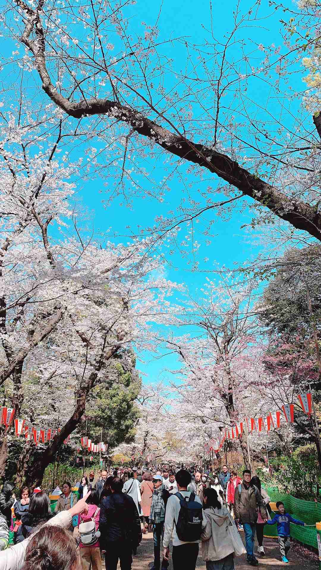 Ueno Park
