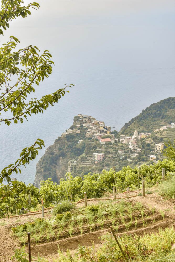 How Far is Cinque Terre from Florence?