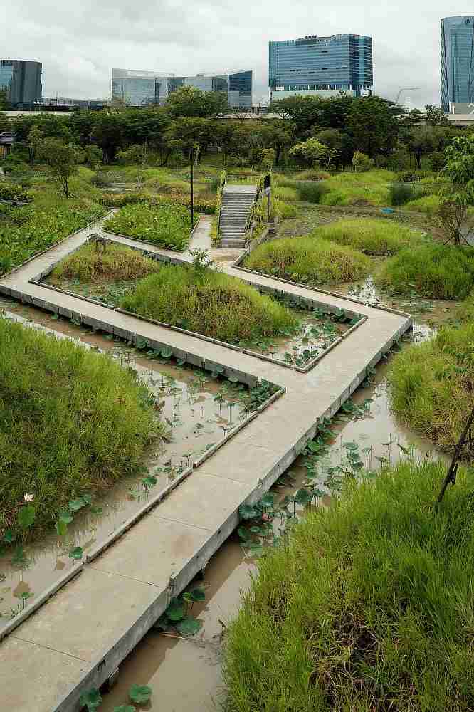 Benjakitti Forest Park and Lumpini Park