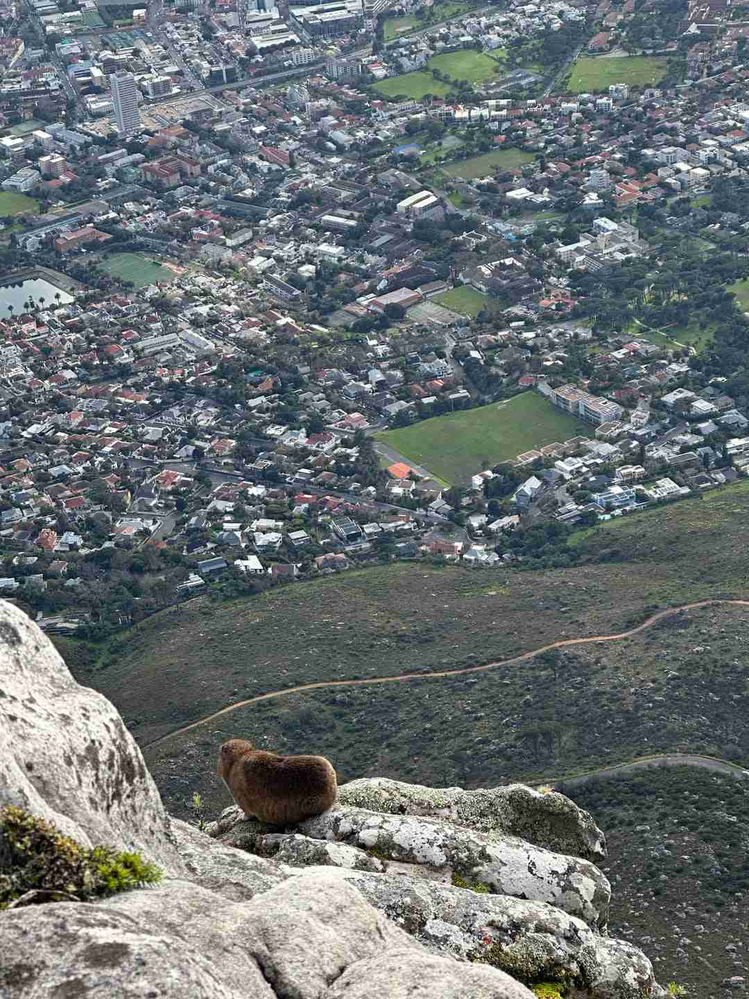 Other Things to Do in Cape Town and Around