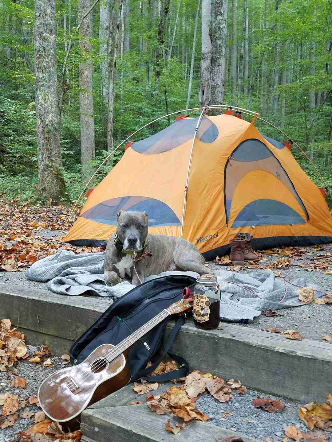 GREAT SMOKY MOUNTAINS NATIONAL PARK CAMPING