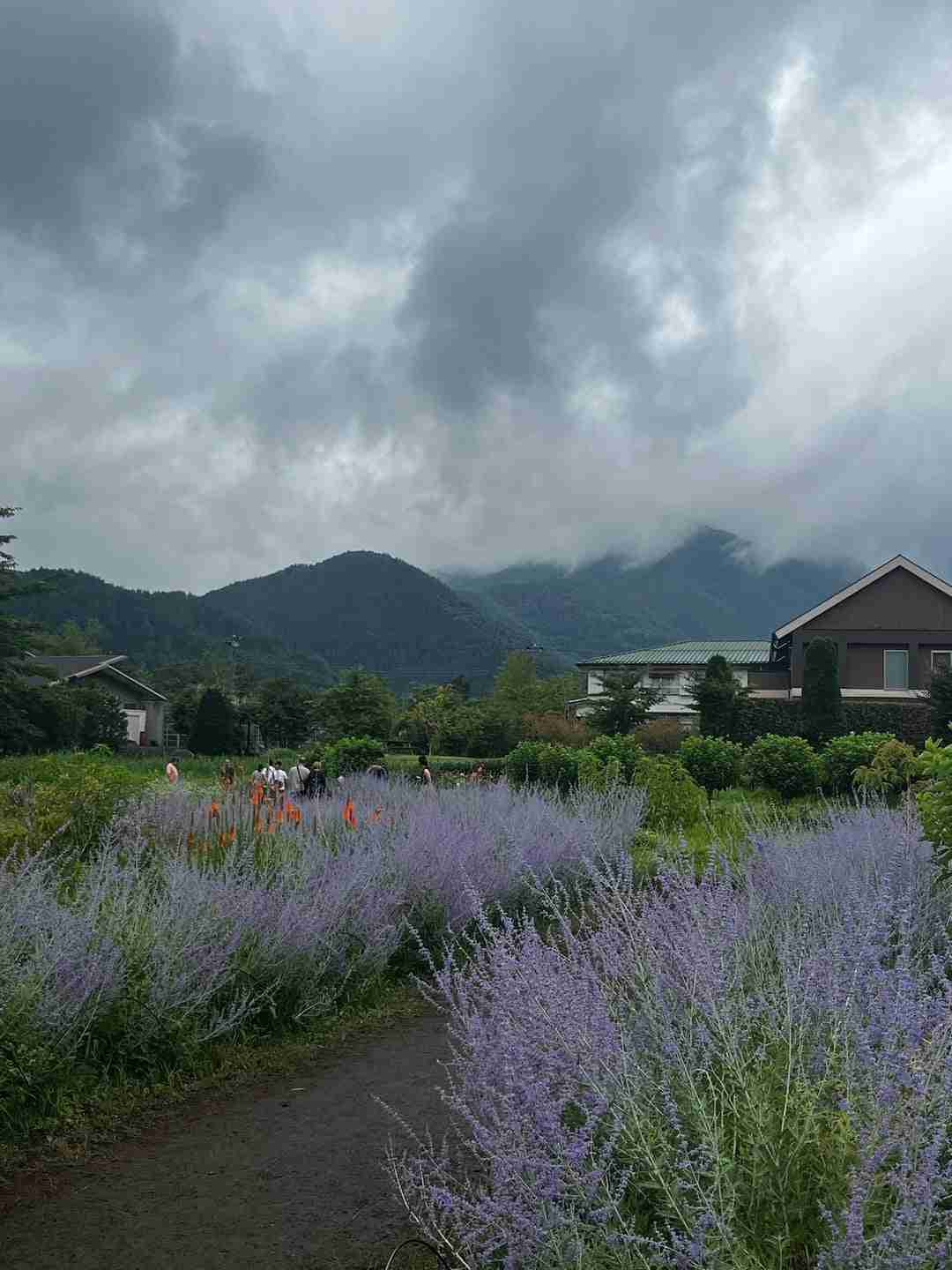 Oishi Park