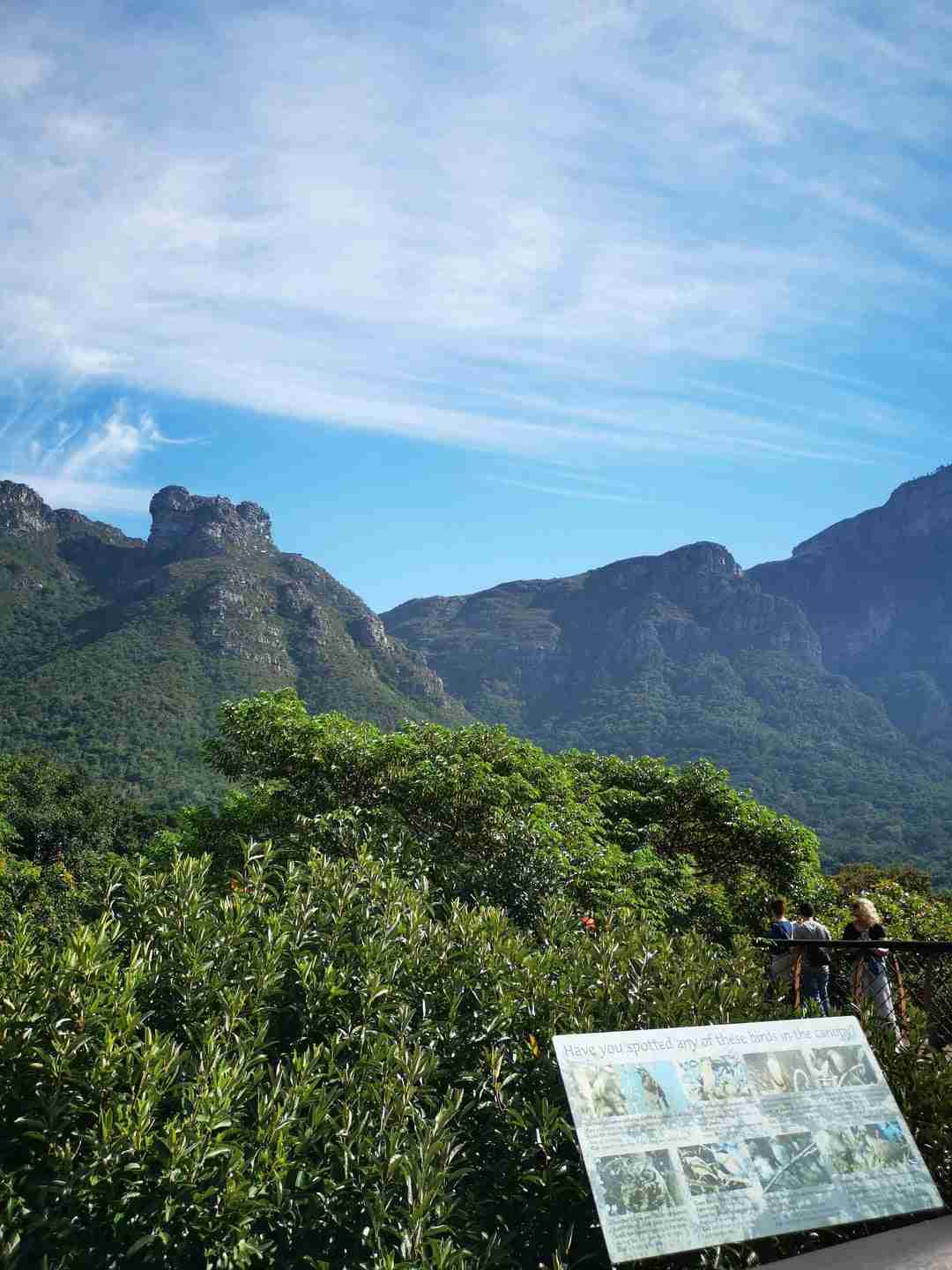 Day 3 (Alternative/Extension): Kirstenbosch National Botanical Garden