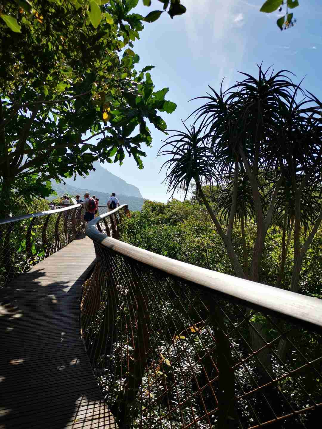 Day 2 (Alternative): Neighbourgoods Market, Kirstenbosch Botanical Garden & V&A Waterfront