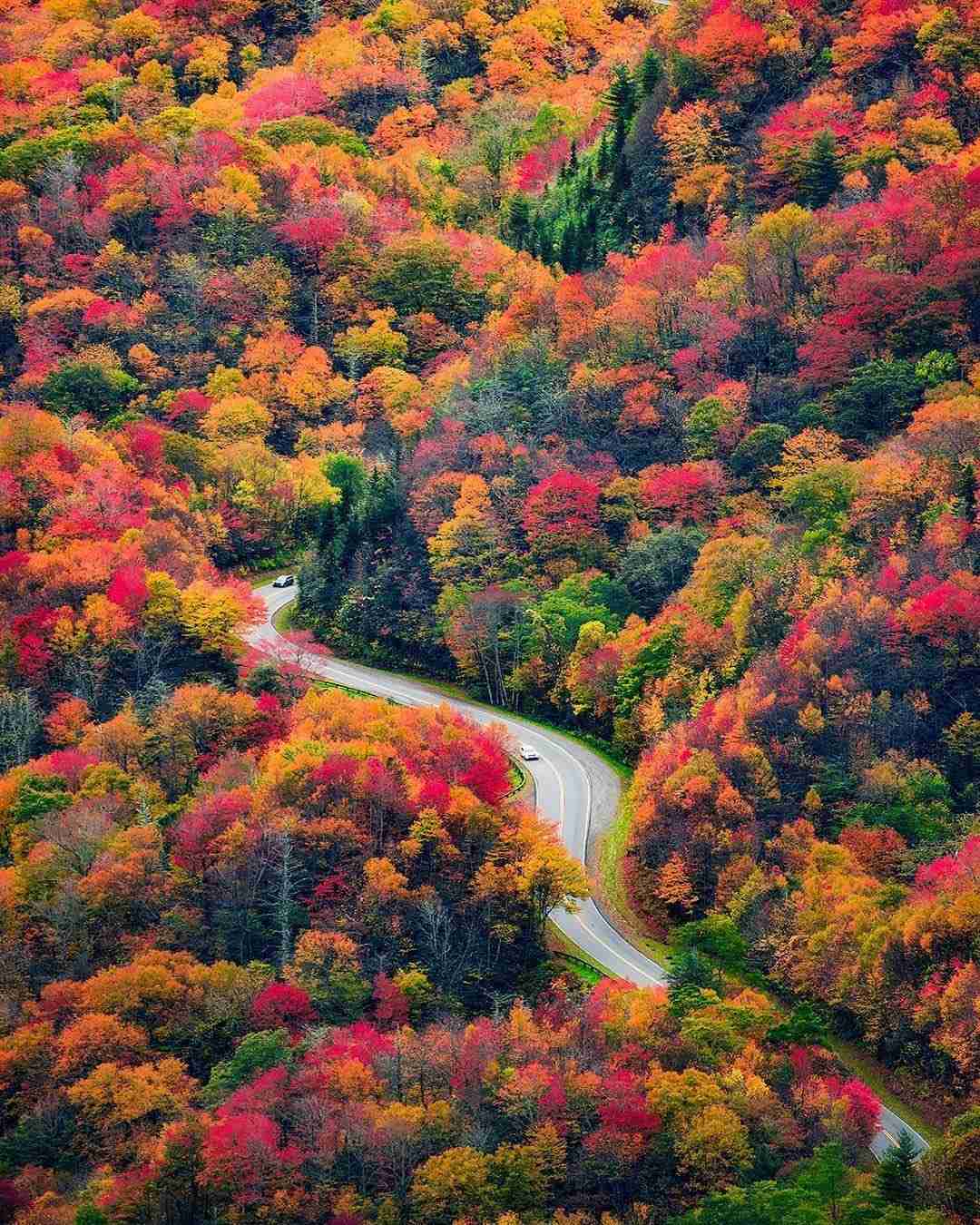 BEST TIME TO VISIT GREAT SMOKY MOUNTAINS