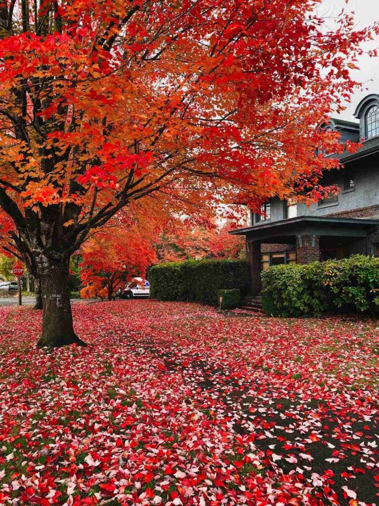 When to Visit Portland, Maine