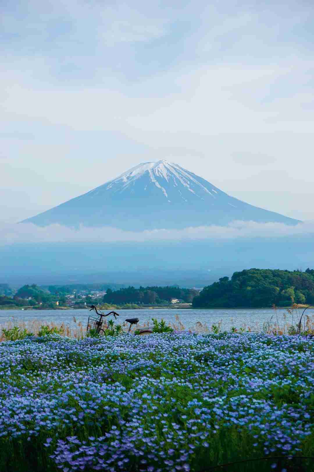 Best Time to Visit Mount Fuji