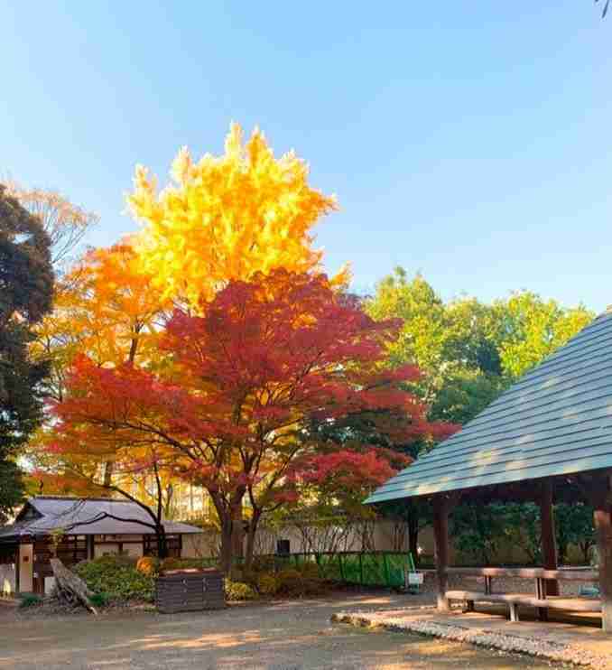 Koishikawa Korakuen