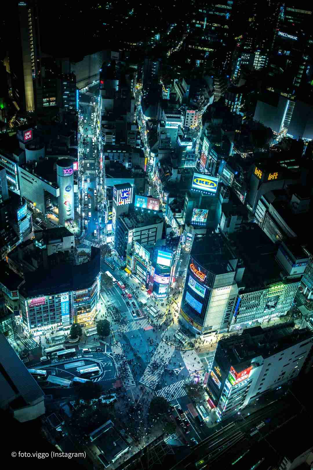 Shibuya Crossing